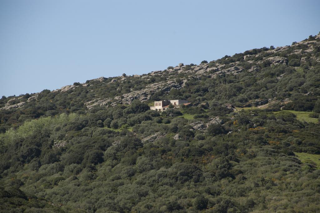 Campi Elisi B&B Sassari Extérieur photo